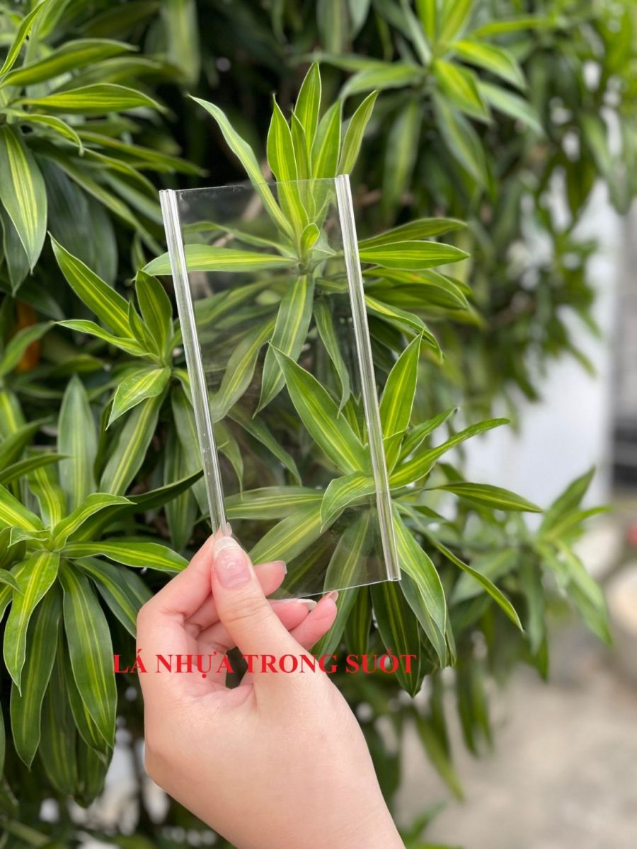 lá nhựa trong suốt